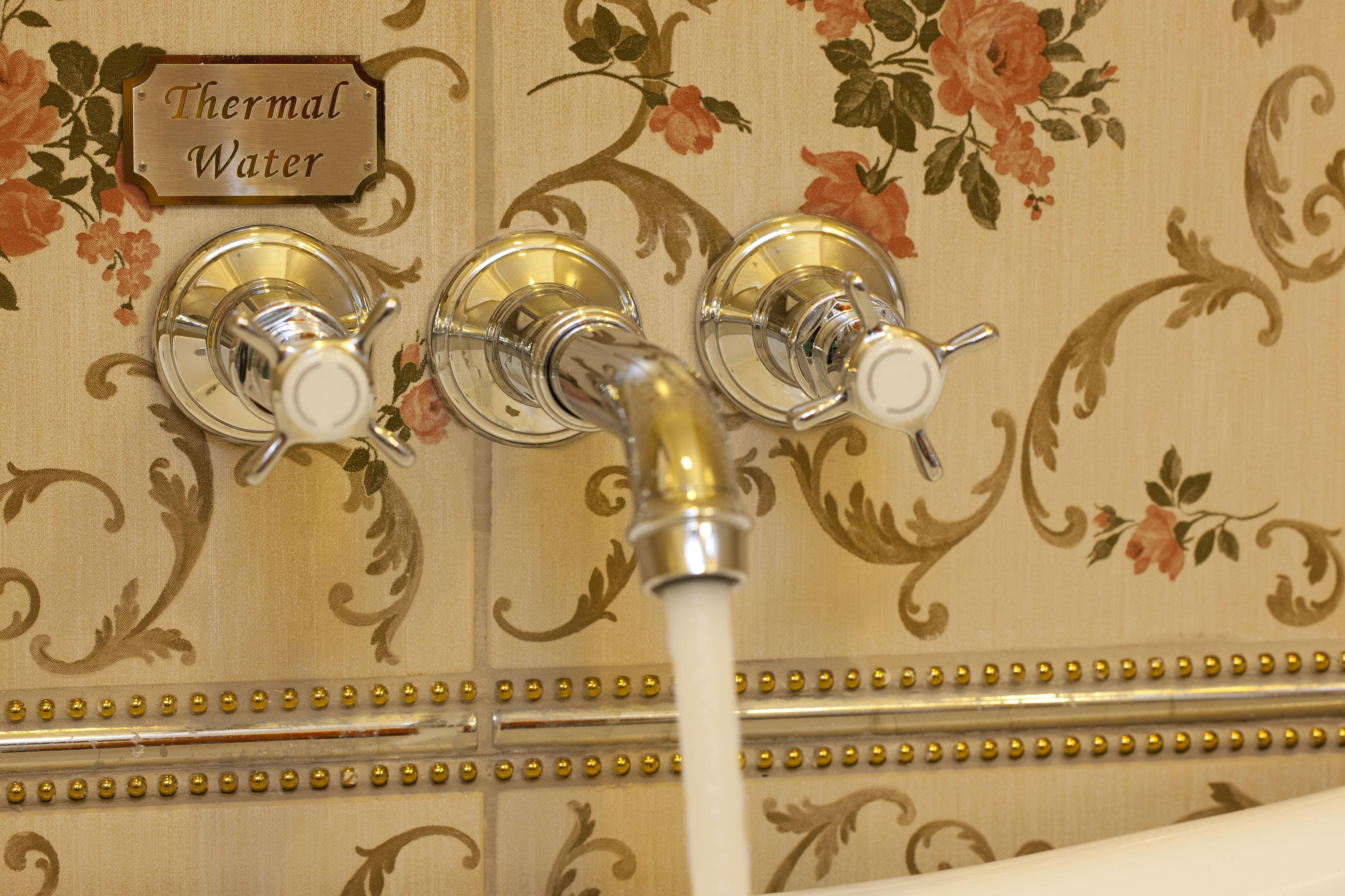 Limak Yalova Thermal Boutique Hotel Gokcedere Kültér fotó